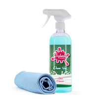 Glass Cleaning Kit