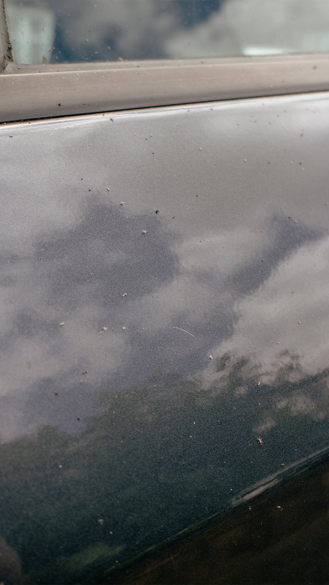 Classiest Clay - Fine Clay Bar